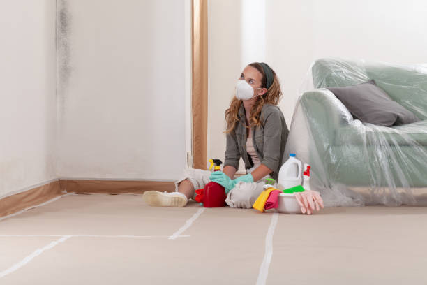 Reliable Mold Testing contractor in Henderson, CO by WQB Mold Removal
